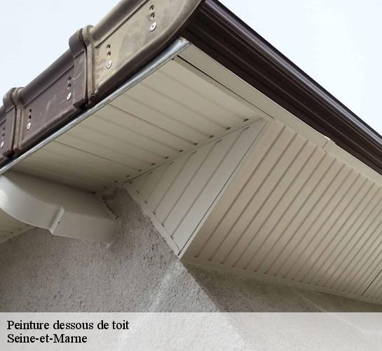 Peinture dessous de toit Seine-et-Marne 