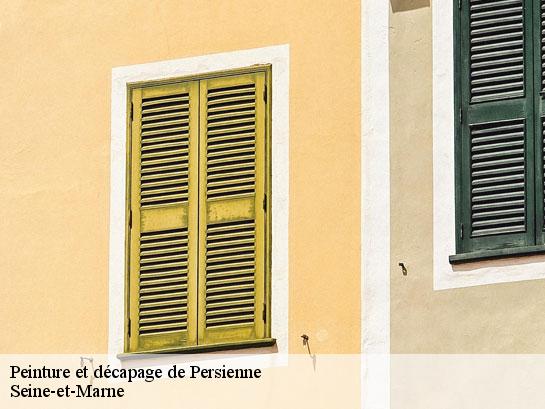 Peinture et décapage de Persienne 77 Seine-et-Marne  Entreprise Desimpel 77