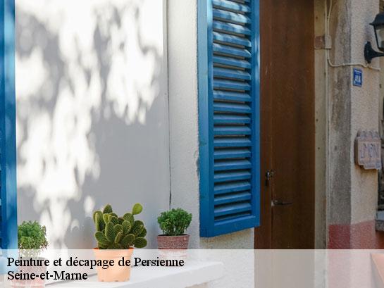 Peinture et décapage de Persienne 77 Seine-et-Marne  Entreprise Desimpel 77