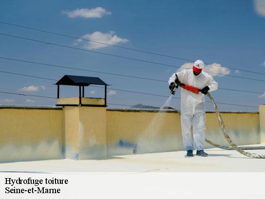 Hydrofuge toiture 77 Seine-et-Marne  Entreprise Desimpel 77