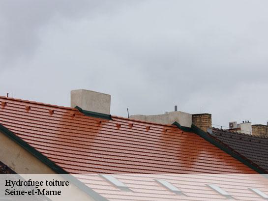 Hydrofuge toiture 77 Seine-et-Marne  Entreprise Desimpel 77