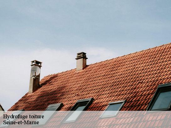 Hydrofuge toiture 77 Seine-et-Marne  Entreprise Desimpel 77