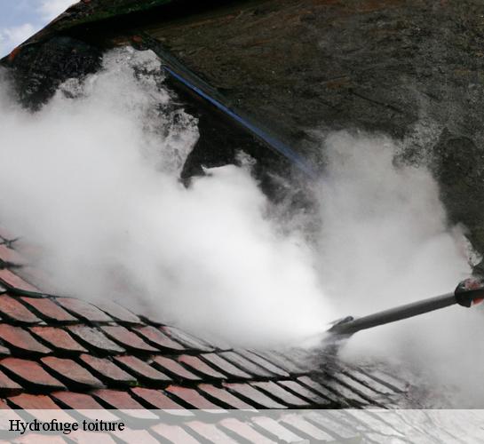 Hydrofuge toiture Seine-et-Marne 