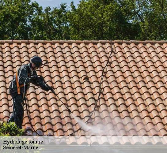 Hydrofuge toiture Seine-et-Marne 