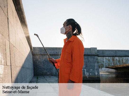 Nettoyage de façade 77 Seine-et-Marne  Entreprise Desimpel 77