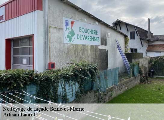 Nettoyage de façade Seine-et-Marne 