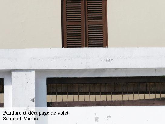Peinture et décapage de volet 77 Seine-et-Marne  Entreprise Desimpel 77