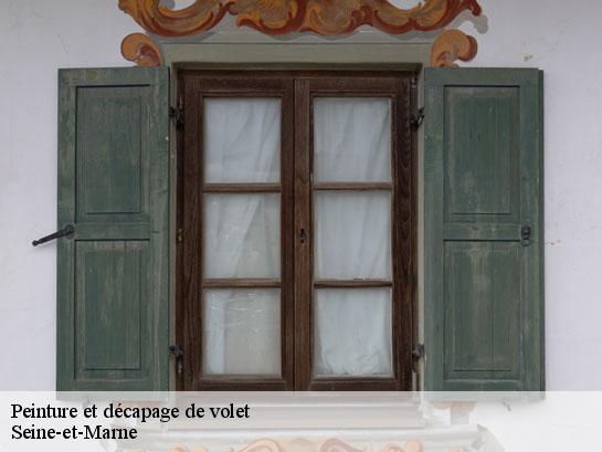 Peinture et décapage de volet 77 Seine-et-Marne  Entreprise Desimpel 77