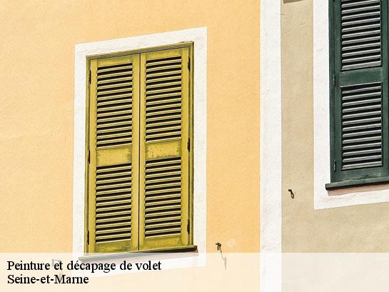 Peinture et décapage de volet 77 Seine-et-Marne  Entreprise Desimpel 77