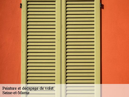 Peinture et décapage de volet 77 Seine-et-Marne  Entreprise Desimpel 77