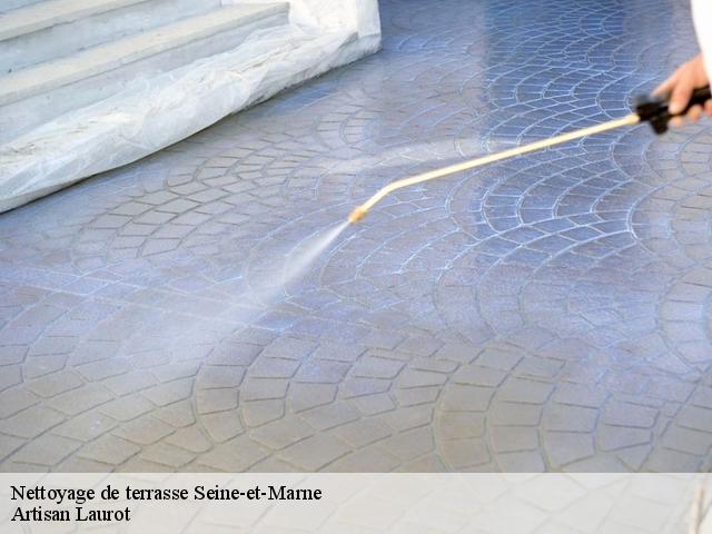 Nettoyage de terrasse 77 Seine-et-Marne  Artisan Laurot