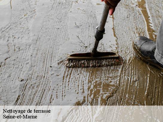 Nettoyage de terrasse 77 Seine-et-Marne  Entreprise Desimpel 77