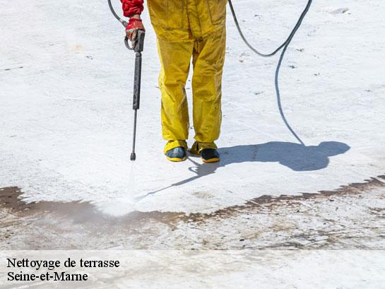 Nettoyage de terrasse 77 Seine-et-Marne  Entreprise Desimpel 77