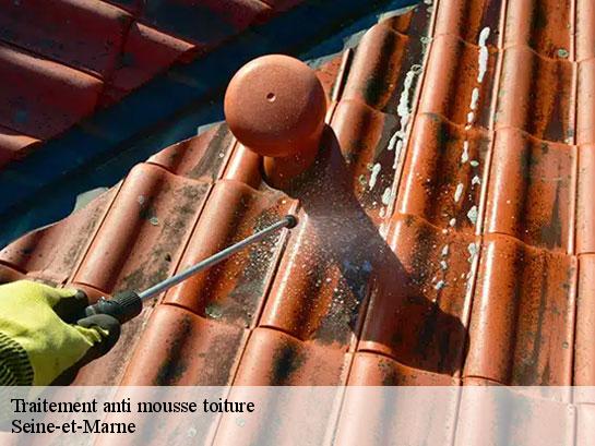 Traitement anti mousse toiture 77 Seine-et-Marne  Entreprise Desimpel 77