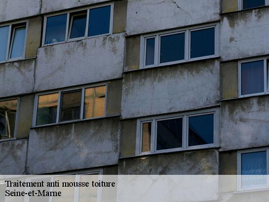 Traitement anti mousse toiture 77 Seine-et-Marne  Entreprise Desimpel 77