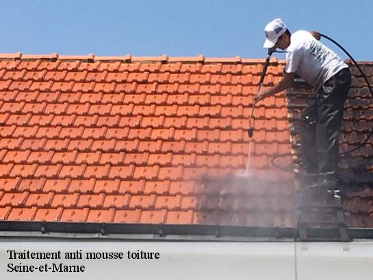 Traitement anti mousse toiture 77 Seine-et-Marne  Entreprise Desimpel 77