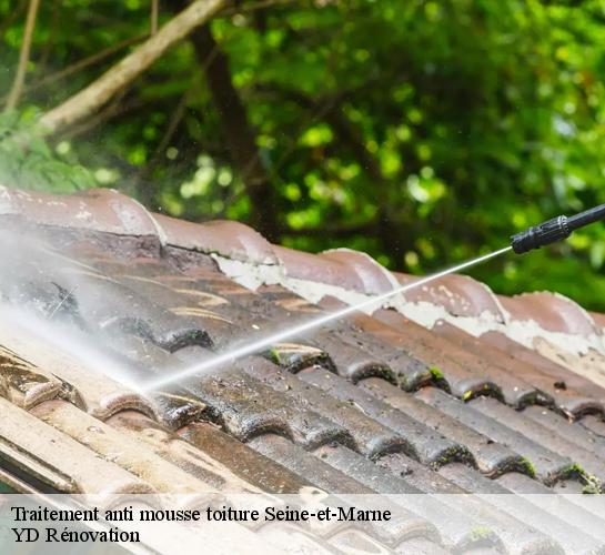 Traitement anti mousse toiture Seine-et-Marne 