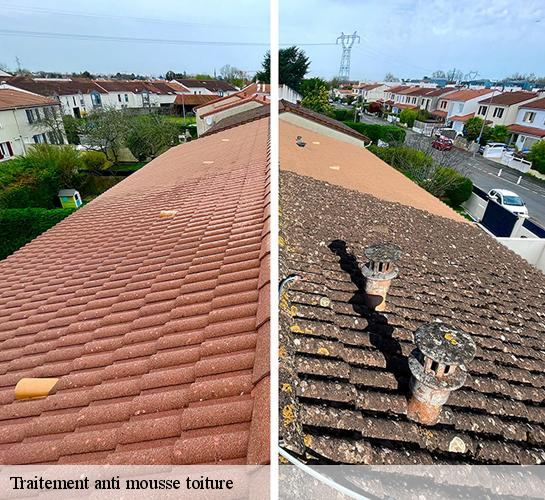 Traitement anti mousse toiture Seine-et-Marne 