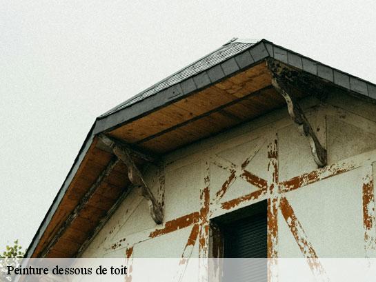 Peinture dessous de toit  bannost-villegagnon-77970 Entreprise Desimpel 77