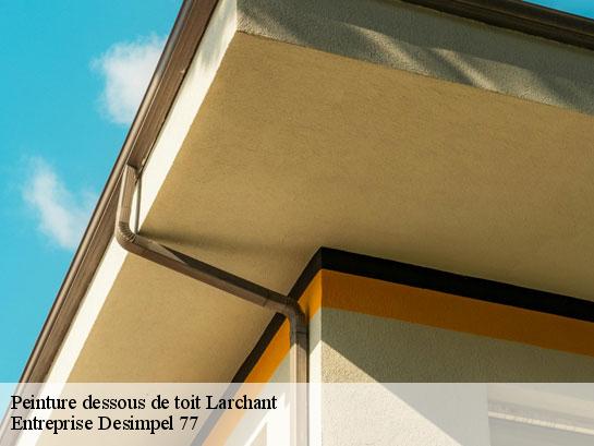 Peinture dessous de toit  larchant-77760 Entreprise Desimpel 77