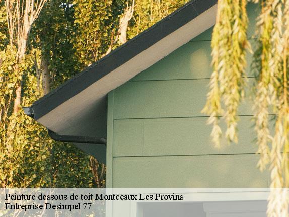 Peinture dessous de toit  montceaux-les-provins-77151 Entreprise Desimpel 77