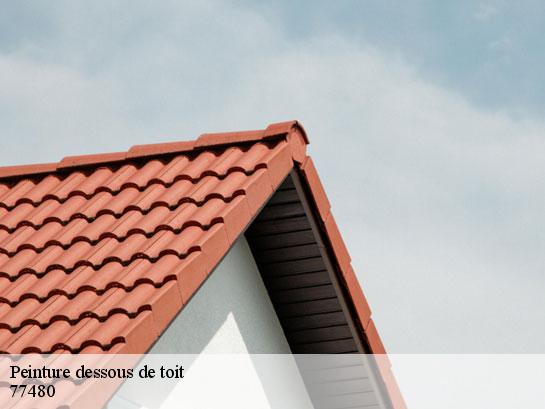 Peinture dessous de toit  mousseaux-les-bray-77480 Entreprise Desimpel 77