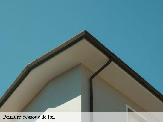 Peinture dessous de toit  saint-ange-le-viel-77710 Entreprise Desimpel 77