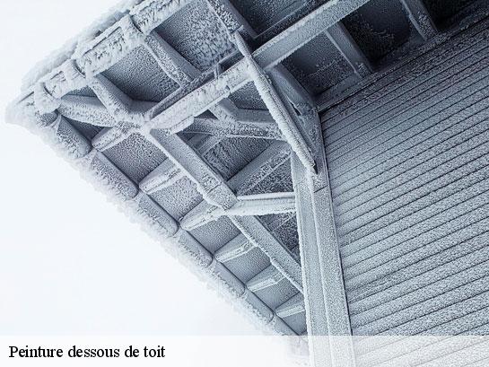 Peinture dessous de toit  saint-ange-le-viel-77710 Entreprise Desimpel 77