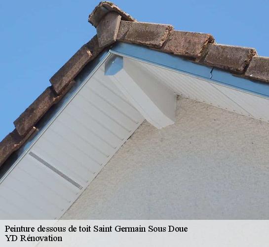 Peinture dessous de toit  77169
