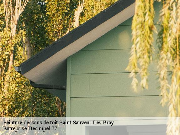 Peinture dessous de toit  saint-sauveur-les-bray-77480 Entreprise Desimpel 77