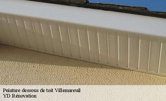 Peinture dessous de toit  villemareuil-77470 YD Rénovation