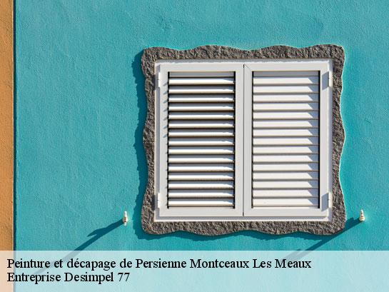 Peinture et décapage de Persienne  montceaux-les-meaux-77470 Entreprise Desimpel 77