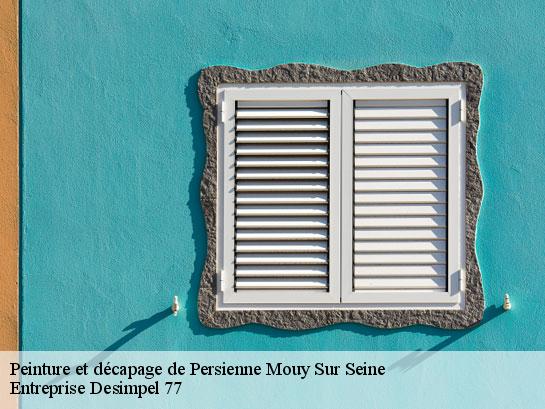 Peinture et décapage de Persienne  mouy-sur-seine-77480 Entreprise Desimpel 77