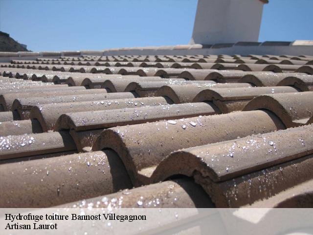 Hydrofuge toiture  bannost-villegagnon-77970 Artisan Laurot