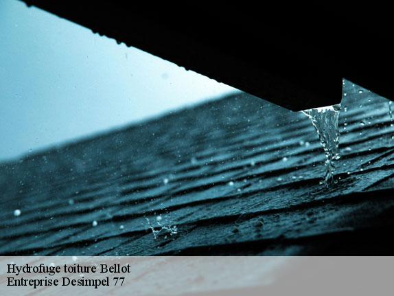 Hydrofuge toiture  bellot-77510 Entreprise Desimpel 77