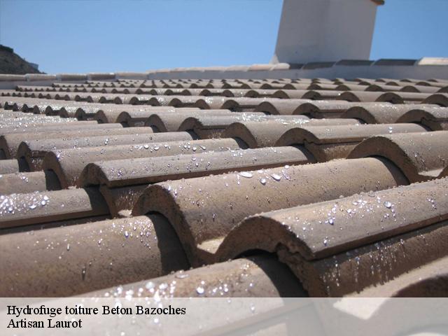 Hydrofuge toiture  beton-bazoches-77320 Artisan Laurot