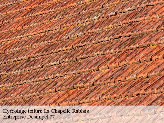 Hydrofuge toiture  la-chapelle-rablais-77370 Entreprise Desimpel 77
