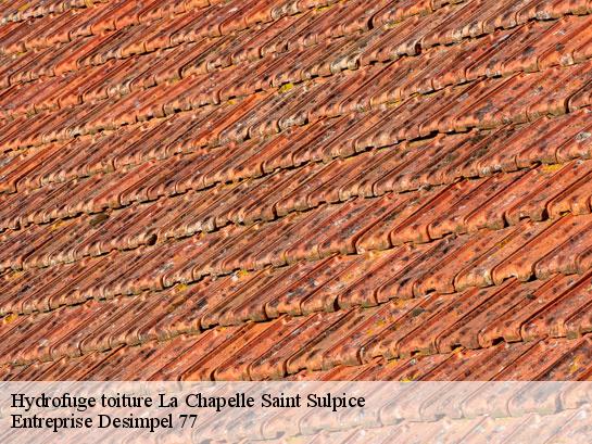 Hydrofuge toiture  la-chapelle-saint-sulpice-77160 Entreprise Desimpel 77
