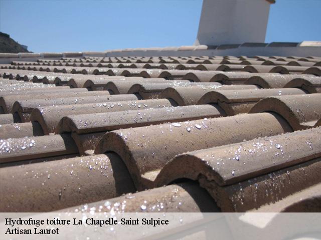 Hydrofuge toiture  la-chapelle-saint-sulpice-77160 Artisan Laurot