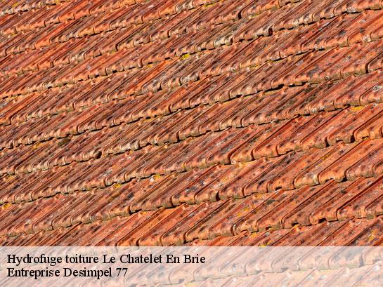 Hydrofuge toiture  le-chatelet-en-brie-77820 Entreprise Desimpel 77