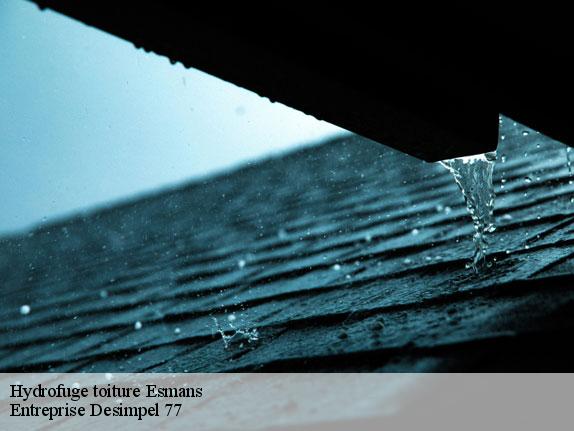 Hydrofuge toiture  esmans-77940 Entreprise Desimpel 77
