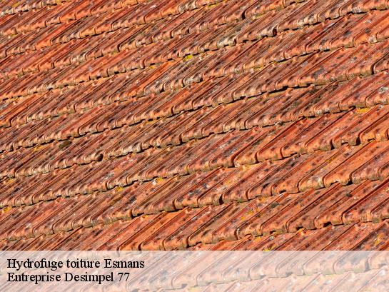 Hydrofuge toiture  esmans-77940 Entreprise Desimpel 77