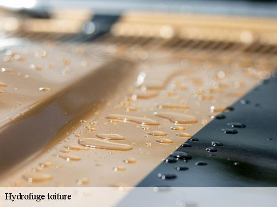 Hydrofuge toiture  fleury-en-biere-77930 Entreprise Desimpel 77