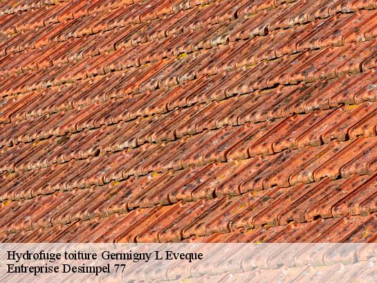 Hydrofuge toiture  germigny-l-eveque-77910 Entreprise Desimpel 77