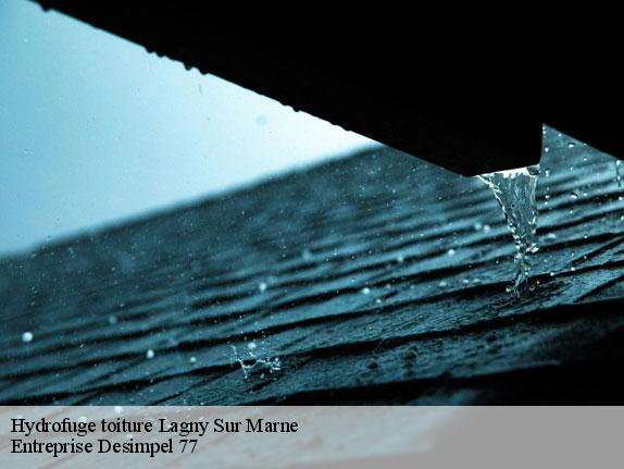 Hydrofuge toiture  lagny-sur-marne-77400 Entreprise Desimpel 77