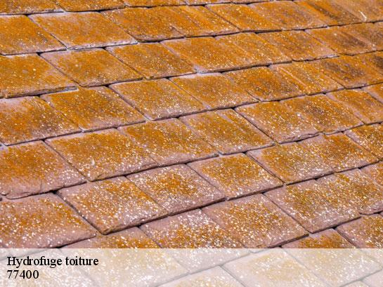 Hydrofuge toiture  lagny-sur-marne-77400 Entreprise Desimpel 77