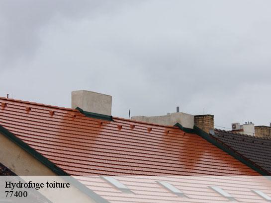 Hydrofuge toiture  lagny-sur-marne-77400 Entreprise Desimpel 77