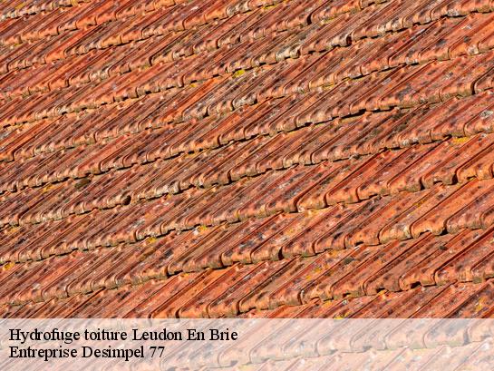 Hydrofuge toiture  leudon-en-brie-77320 Entreprise Desimpel 77