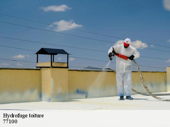 Hydrofuge toiture  meaux-77100 Entreprise Desimpel 77