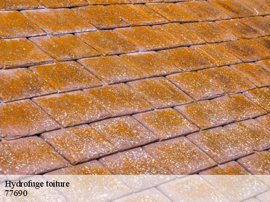 Hydrofuge toiture  montigny-sur-loing-77690 Entreprise Desimpel 77